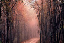 刺激，维尼修斯打进南美世预赛第二晚的制胜球，仅次于乌加特.