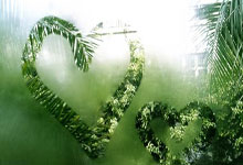 B费本赛季已直接参与29球，自2020／21赛季以来最多.