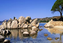 [国内足球]王燊超右路横传 李帅轻松推射破门.